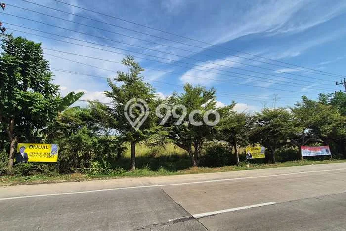 Lahan untuk Dijual Lokasi Ketanggungan, Brebes Luas 33000m2 SHM Lahan untuk Dijual Lokasi Ketanggungan, Brebes Luas 33000m2 SHM