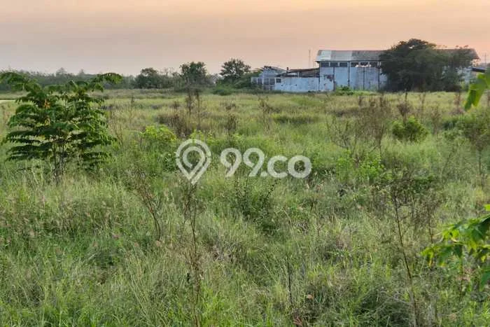 Lahan untuk Dijual Lokasi Ketanggungan, Brebes Luas 33000m2 SHM Lahan untuk Dijual Lokasi Ketanggungan, Brebes Luas 33000m2 SHM