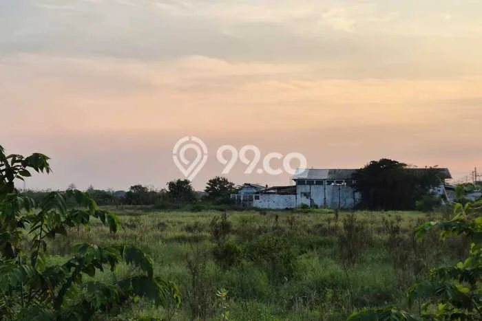 Lahan untuk Dijual Lokasi Ketanggungan, Brebes Luas 33000m2 SHM Lahan untuk Dijual Lokasi Ketanggungan, Brebes Luas 33000m2 SHM