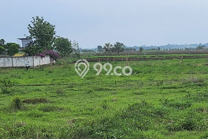Lahan untuk Dijual Lokasi Haurgeulis, Indramayu Luas 9580m2 SHM Lahan untuk Dijual Lokasi Haurgeulis, Indramayu Luas 9580m2 SHM