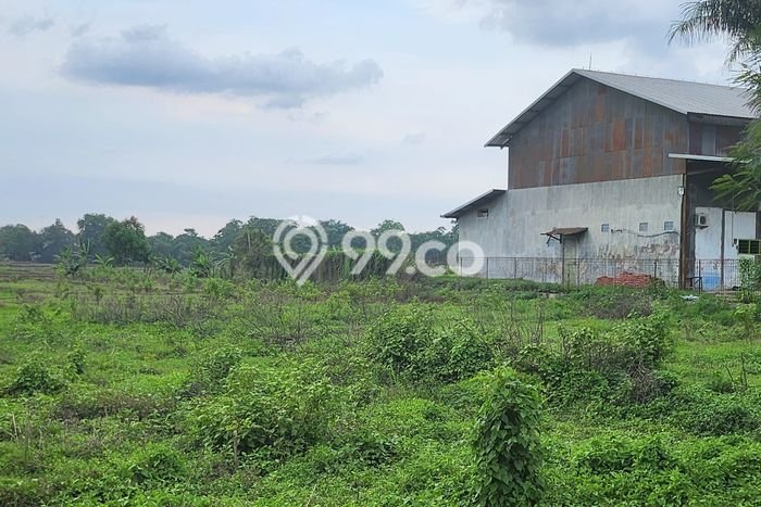 Lahan untuk Dijual Lokasi Haurgeulis, Indramayu Luas 9580m2 SHM Lahan untuk Dijual Lokasi Haurgeulis, Indramayu Luas 9580m2 SHM