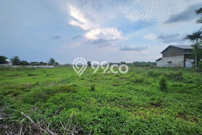 Lahan untuk Dijual Lokasi Haurgeulis, Indramayu Luas 9580m2 SHM Lahan untuk Dijual Lokasi Haurgeulis, Indramayu Luas 9580m2 SHM