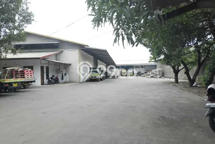Disewakan Gudang Bisnis di Harjamukti Cirebon Harga Sewa Menarik Bisa Nego Disewakan Gudang Bisnis di Harjamukti Cirebon Harga Sewa Menarik Bisa Nego