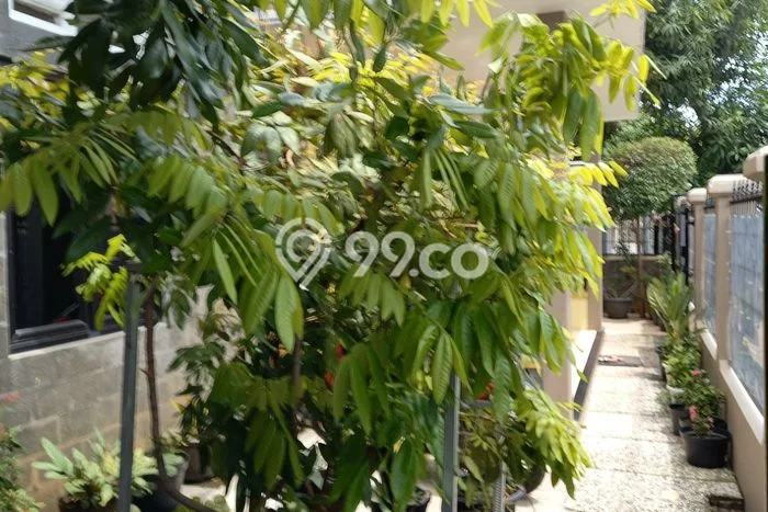 Hunian Cantik Minimalis Lb 200m2 di Harjamukti, Cirebon Hunian Cantik Minimalis Lb 200m2 di Harjamukti, Cirebon