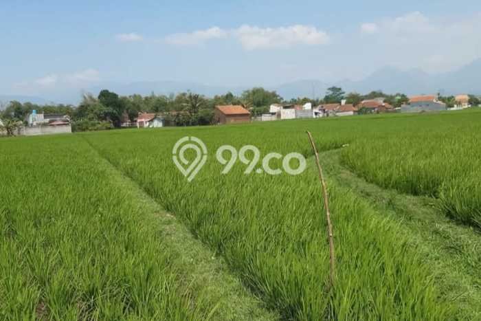 Kavling Tanah di Ciparay Dijual Luas 4079m2 Legalitas SHM Kavling Tanah di Ciparay Dijual Luas 4079m2 Legalitas SHM