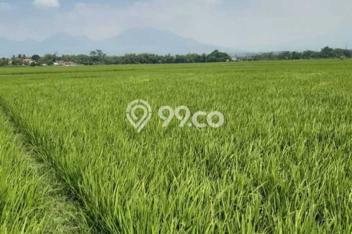 Kavling Tanah di Ciparay Dijual Luas 4079m2 Legalitas SHM Kavling Tanah di Ciparay Dijual Luas 4079m2 Legalitas SHM