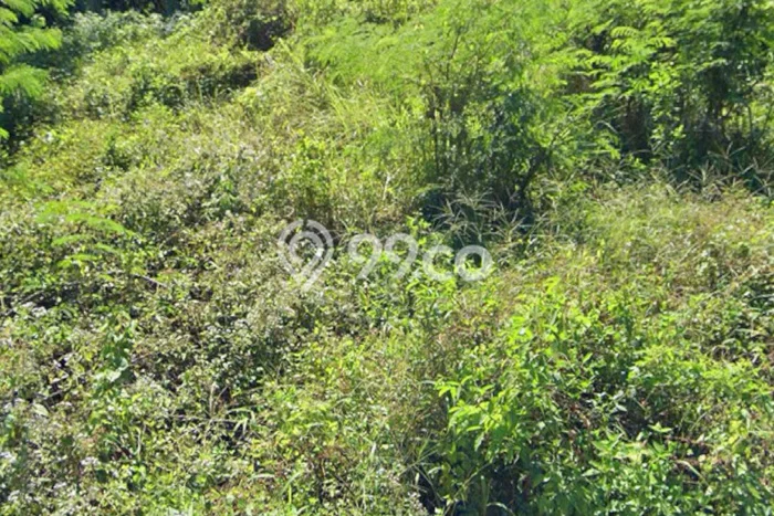 Untuk Disewa Tanah di Gianyar, Luas 120m2 Area Berkembang Untuk Disewa Tanah di Gianyar, Luas 120m2 Area Berkembang