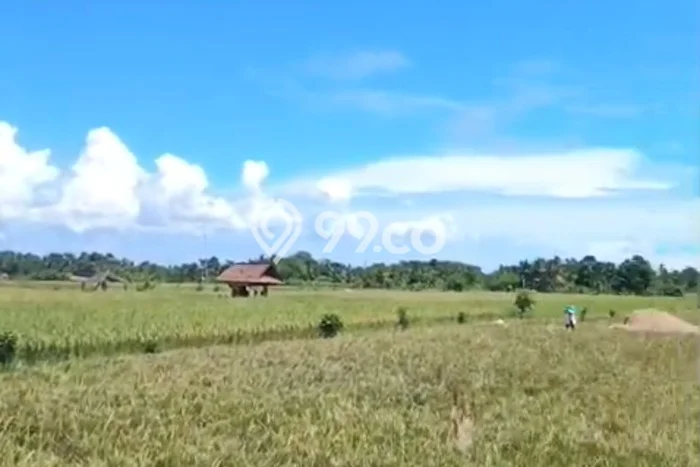 Tanah Komersial Disewakan di Ubud Gianyar Seluas 450m2 Tanah Komersial Disewakan di Ubud Gianyar Seluas 450m2