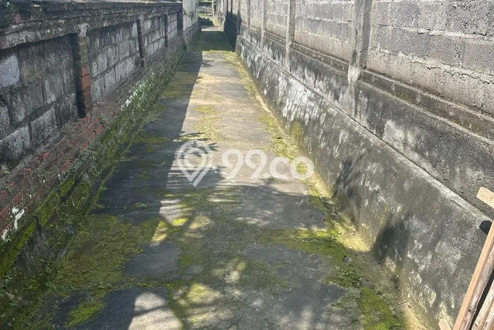 Lahan Strategis di Ubud Gianyar Disewakan dengan Luas 700m2 Lahan Strategis di Ubud Gianyar Disewakan dengan Luas 700m2