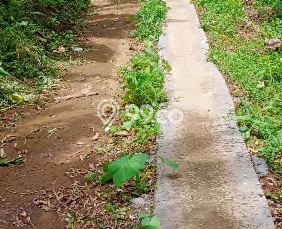 Tanah Siap Bangun Dijual di Buleleng Punya Luas 3300m2 Tanah Siap Bangun Dijual di Buleleng Punya Luas 3300m2