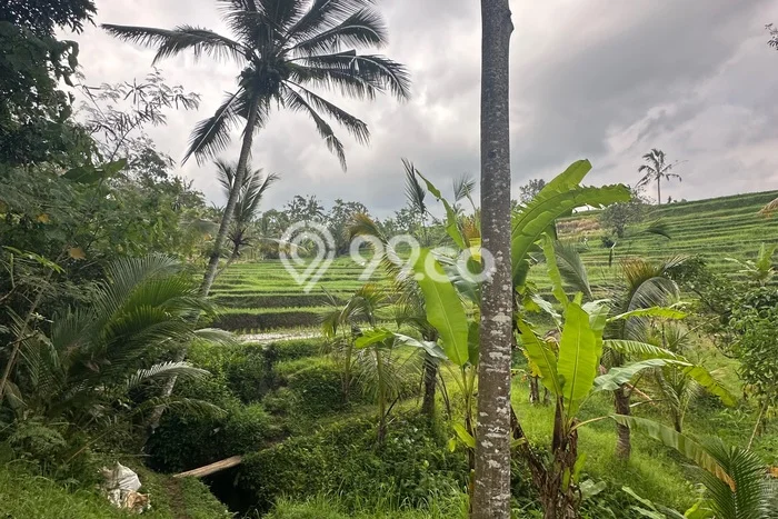 Tanah Dijual di Tabanan Seluas 2800m2 Strategis Tanah Dijual di Tabanan Seluas 2800m2 Strategis