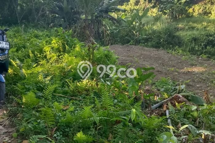 Tanah Kosong Disewakan di Ubud, Gianyar, Luas 1000m2 Tanah Kosong Disewakan di Ubud, Gianyar, Luas 1000m2