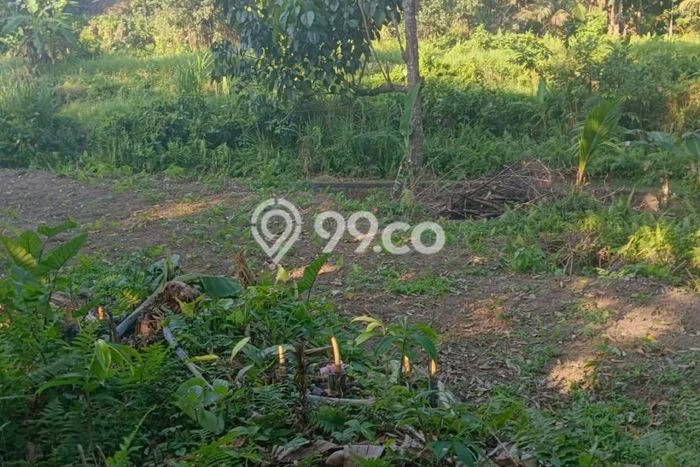 Tanah Kosong Disewakan di Ubud, Gianyar, Luas 1000m2 Tanah Kosong Disewakan di Ubud, Gianyar, Luas 1000m2