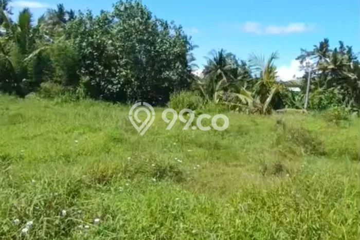 Tanah Komersial Disewakan di Ubud Gianyar Seluas 450m2 Tanah Komersial Disewakan di Ubud Gianyar Seluas 450m2