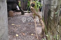 Tanah Kavling Dijual di Panjer, Denpasar dengan Luas Tanah 200m2 Tanah Kavling Dijual di Panjer, Denpasar dengan Luas Tanah 200m2