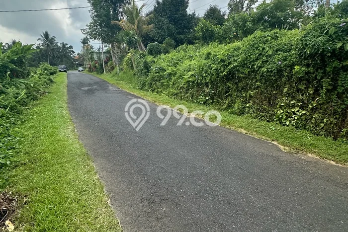 Dijual Tanah 1800m2 di Jatiluwih, Tabanan Dijual Tanah 1800m2 di Jatiluwih, Tabanan