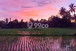 Kavling Tanah di Ubud Dijual Luas 2230m2 Legalitas SHM Kavling Tanah di Ubud Dijual Luas 2230m2 Legalitas SHM