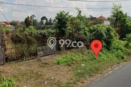 Siap Disewakan Tanah di Ubud Luas 3000m2 Area Potensial Siap Disewakan Tanah di Ubud Luas 3000m2 Area Potensial