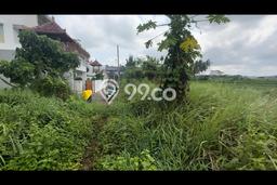 Untuk Dijual Tanah di Ubud Gianyar Luas 300m2 SHM Untuk Dijual Tanah di Ubud Gianyar Luas 300m2 SHM