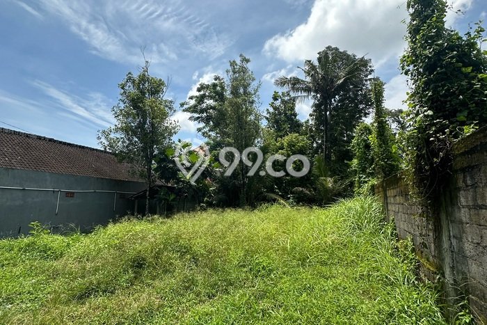 Tanah Kosong Disewakan di Ubud, Gianyar, Luas 626m2 Tanah Kosong Disewakan di Ubud, Gianyar, Luas 626m2