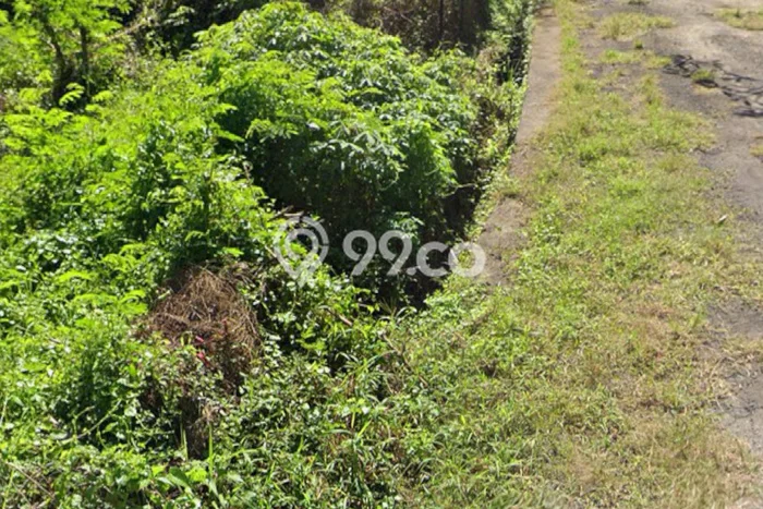 Untuk Disewa Tanah di Gianyar, Luas 120m2 Area Berkembang Untuk Disewa Tanah di Gianyar, Luas 120m2 Area Berkembang