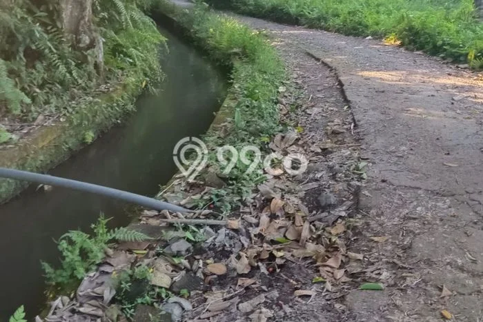 Tanah Kosong Disewakan di Ubud, Gianyar, Luas 1000m2 Tanah Kosong Disewakan di Ubud, Gianyar, Luas 1000m2