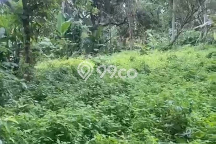 Sangat Dicari! Kavling Tanah Disewakan di Ubud, Gianyar Sangat Dicari! Kavling Tanah Disewakan di Ubud, Gianyar