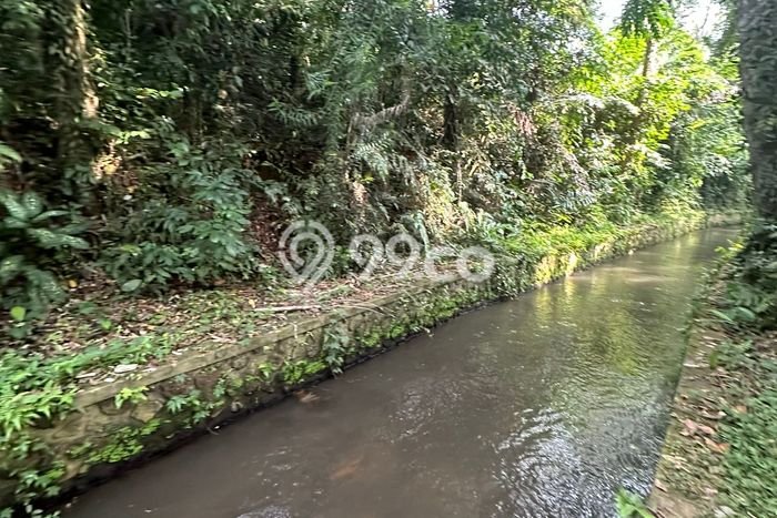 Lahan Kosong Disewakan di Ubud, Gianyar, Luas 3000m2 Lahan Kosong Disewakan di Ubud, Gianyar, Luas 3000m2