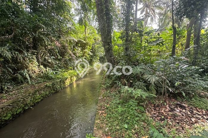 Lahan Kosong Disewakan di Ubud, Gianyar, Luas 3000m2 Lahan Kosong Disewakan di Ubud, Gianyar, Luas 3000m2