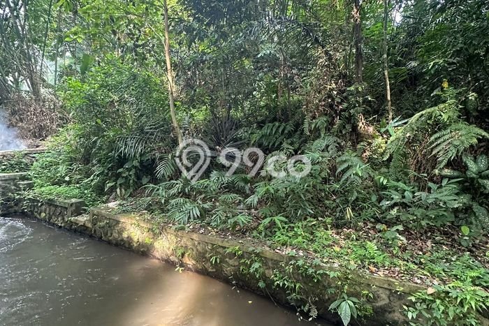 Lahan Kosong Disewakan di Ubud, Gianyar, Luas 3000m2 Lahan Kosong Disewakan di Ubud, Gianyar, Luas 3000m2