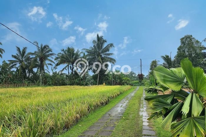 Dijual Rumah Mewah Exclusive di Tabanan, Tabanan Dijual Rumah Mewah Exclusive di Tabanan, Tabanan