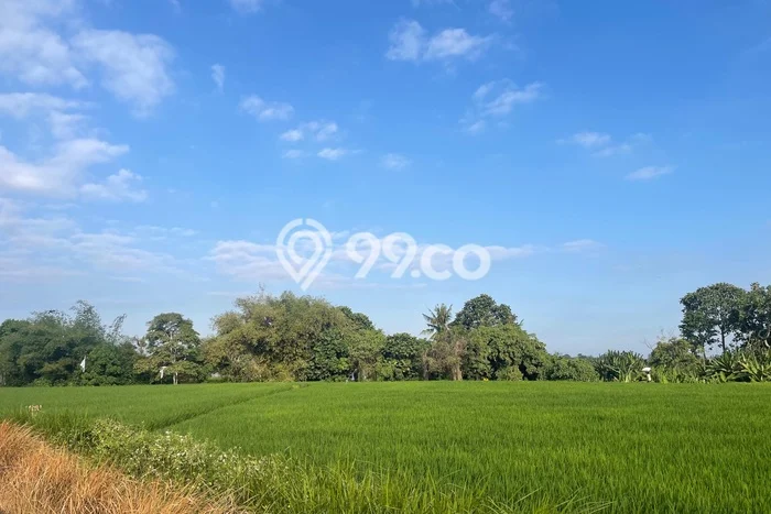 Rumah sewa siap huni 3 KT di Beraban, Tabanan Rumah sewa siap huni 3 KT di Beraban, Tabanan
