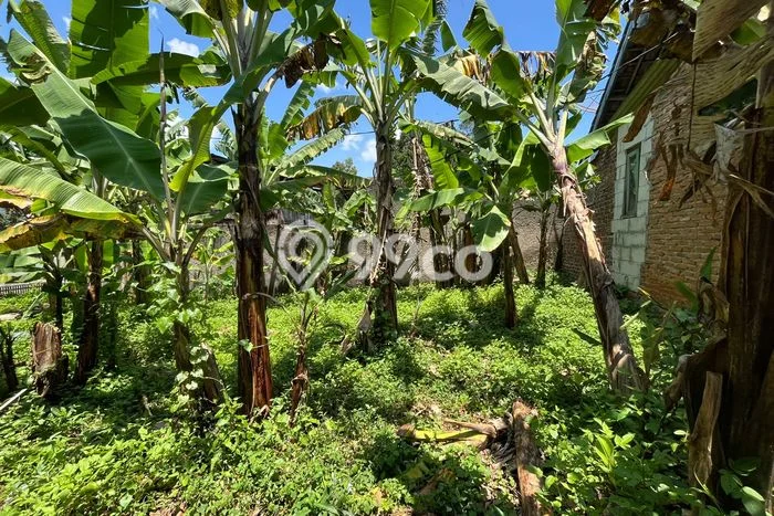 Tanah Kavling untuk Dijual di Jatinangor Sumedang 136m2 Tanah Kavling untuk Dijual di Jatinangor Sumedang 136m2