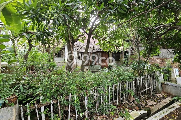 Tanah Dijual Lokasi Semarang Barat, Semarang Luas 560m2 Legalitas Aman Tanah Dijual Lokasi Semarang Barat, Semarang Luas 560m2 Legalitas Aman