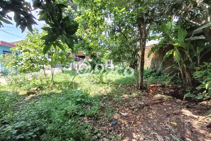 Dijual Tanah 165m2 di Mangunsari, Semarang Dijual Tanah 165m2 di Mangunsari, Semarang