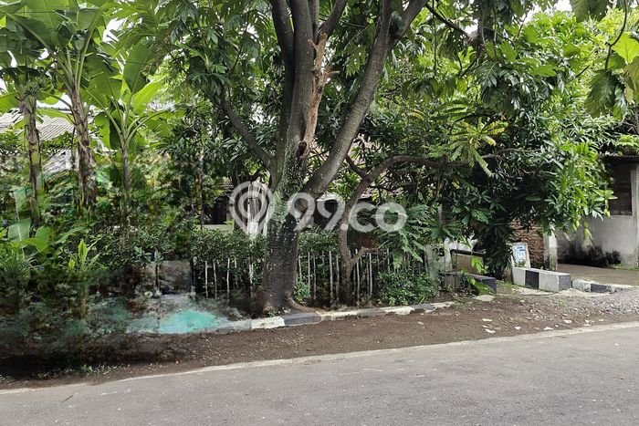 Tanah Dijual Lokasi Semarang Barat, Semarang Luas 560m2 Legalitas Aman Tanah Dijual Lokasi Semarang Barat, Semarang Luas 560m2 Legalitas Aman