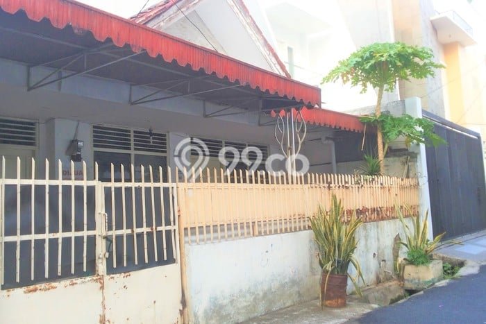 Rumah Luas Asri 3 KT Siap Huni di Cideng Jakarta Pusat Rumah Luas Asri 3 KT Siap Huni di Cideng Jakarta Pusat
