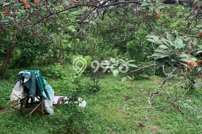 Kavling Tanah untuk Dijual di Jatibening, Bekasi, Luas 1425m2 Kavling Tanah untuk Dijual di Jatibening, Bekasi, Luas 1425m2