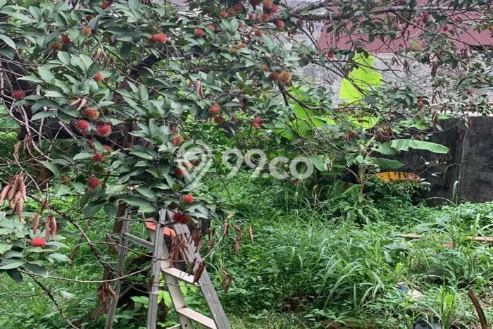 Kavling Tanah untuk Dijual di Jatibening, Bekasi, Luas 1425m2 Kavling Tanah untuk Dijual di Jatibening, Bekasi, Luas 1425m2