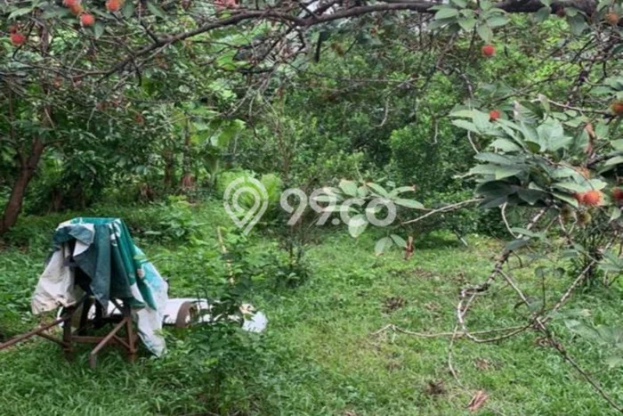 Tanah Kavling Dijual di Jatibening, Bekasi dengan Luas Tanah 1425m2 Tanah Kavling Dijual di Jatibening, Bekasi dengan Luas Tanah 1425m2