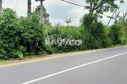Tanah Dijual Lokasi Purwodadi, Pasuruan Luas 31500m2 Legalitas Aman Tanah Dijual Lokasi Purwodadi, Pasuruan Luas 31500m2 Legalitas Aman