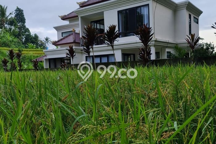 Siap Huni Rumah Mewah 3 Kamar di Ubud Dekat ke Mana Saja Siap Huni Rumah Mewah 3 Kamar di Ubud Dekat ke Mana Saja