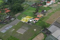 Tanah Siap Pakai Disewakan di Sukawati, Gianyar, Luas 1600m2 Tanah Siap Pakai Disewakan di Sukawati, Gianyar, Luas 1600m2