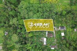 Lahan Dijual Lokasi Ubud, Gianyar dengan Luas Tanah 2460m2 dan Status SHM Lahan Dijual Lokasi Ubud, Gianyar dengan Luas Tanah 2460m2 dan Status SHM
