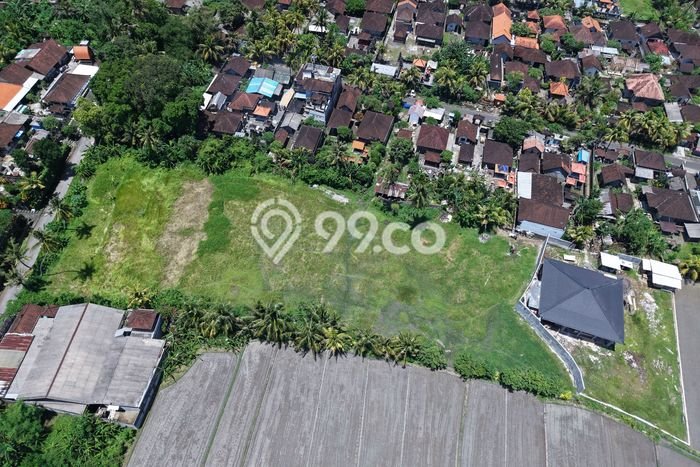 Disewakan Tanah di Tabanan, Luas 2870m2 Area Berkembang Disewakan Tanah di Tabanan, Luas 2870m2 Area Berkembang