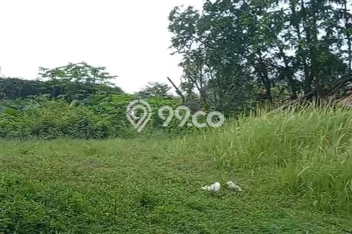 Tanah untuk Dijual Lokasi Cariu, Bogor Luas 69000m2 Hak Pakai Tanah untuk Dijual Lokasi Cariu, Bogor Luas 69000m2 Hak Pakai