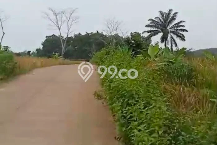 Tanah Dijual Lokasi Pandeglang, Pandeglang Luas 1.25e+06m2 Legalitas Aman Tanah Dijual Lokasi Pandeglang, Pandeglang Luas 1.25e+06m2 Legalitas Aman