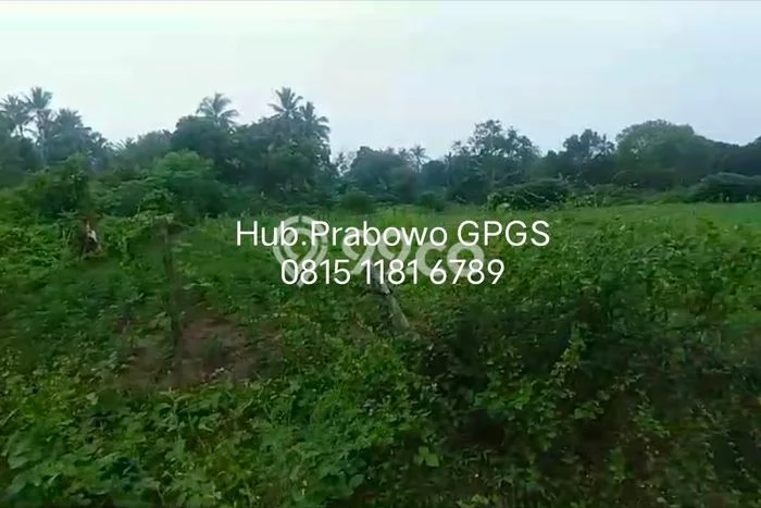 Tanah untuk Dijual Lokasi Cikeusik, Pandeglang Luas 400000m2 SHM Tanah untuk Dijual Lokasi Cikeusik, Pandeglang Luas 400000m2 SHM