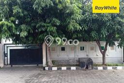 Jual Rumah Bagus Siap Huni LB 156m2 di Sukolilo, Surabaya Jual Rumah Bagus Siap Huni LB 156m2 di Sukolilo, Surabaya