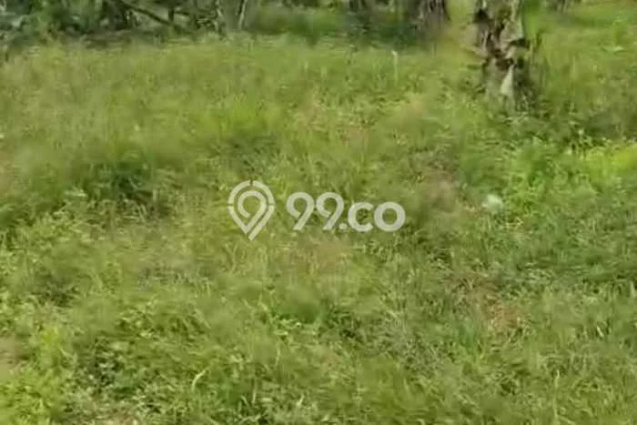 Lahan Investasi Lokasi Cigudeg Bogor SHM Lahan Investasi Lokasi Cigudeg Bogor SHM